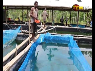 Aquaponic for Vanimo