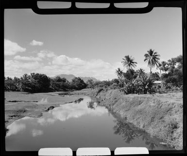 A river scene, near Nadi, Fiji