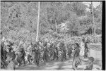 Pig festival, pig sacrifice, Kompiai: armed and decorated allies chant on the dance ground, approaching ritual fence