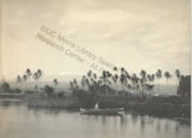 From Waiakea River to Mauna Kia