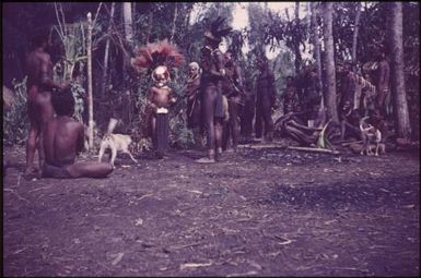 Initiation of the boys (5) : singsing ground of the Kukiga Clan, Wahgi Valley, Papua New Guinea, 1955 / Terence and Margaret Spencer