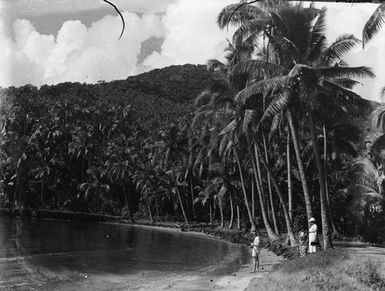 [Three people on a palm tree lined bay]