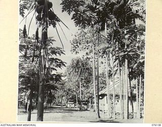 LAE, NEW GUINEA. 1944-09-12. A SECTION OF THE CAMP AREA, HEADQUARTERS NEW GUINEA FORCE