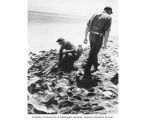 Dr. Lauren R. Donaldson and Lorence B. Marquiss examining Bikini Island beach for signs of recent occupation, summer 1947