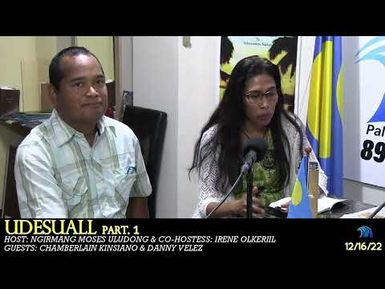 UDESUALL PART1