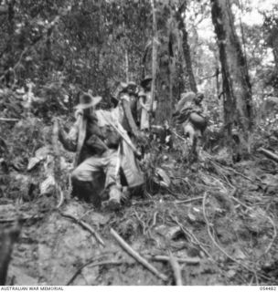 NEW GUINEA, 1943-07-20. JUNGLE TRACK BETWEEN SKINDEWAI AND BARARA STAGING CAMPS