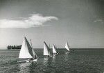 A race of outrigger canoes, Papeete