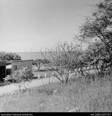 Road leading to Albert Ellis memorial