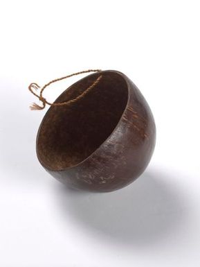 Coconut cup
