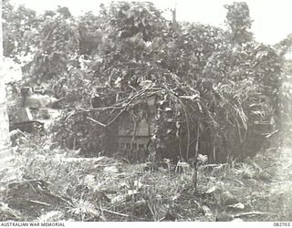 MADANG, NEW GUINEA. 1944-10-12. A CHURCHILL VII TANK EMERGING FROM JUNGLE UNDERGROWTH DURING TESTS CONDUCTED AT HQ 4 ARMOURED BRIGADE