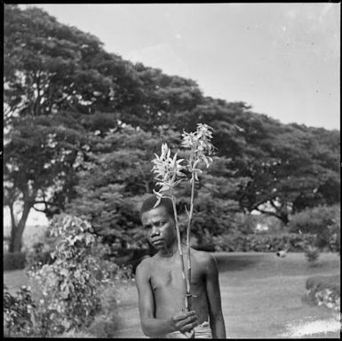 Phaius with orchids, New Guinea, ca. 1936 / Sarah Chinnery