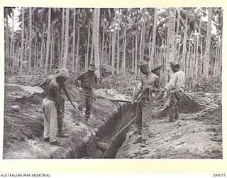 GAZELLE, NEW BRITAIN. 1945-11-23. JAPANESE TROOPS CONSTRUCTED A PRISONER OF WAR CAMP UNDER THE SUPERVISION OF 13 FIELD COMPANY. SHOWN, JAPANESE WORKING PARTY BUILDING A LATRINE PIT