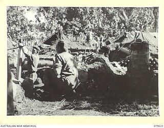 TSIMBA RIDGE, BOUGAINVILLE ISLAND. 1945-02-06. THE 4.2" MORTARS OF THE 101ST BRIGADE SUPPORT COMPANY IN OPERATION DURING THE ATTACK ON ENEMY POSITIONS BY THE 31/51ST INFANTRY BATTALION. IDENTIFIED ..