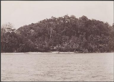Nondu, Te Motu, Santa Cruz Group, Solomon Islands, 1906 / J.W. Beattie