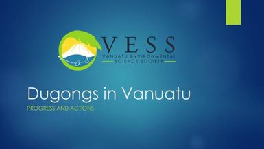 Dugongs in Vanuatu - progress and actions