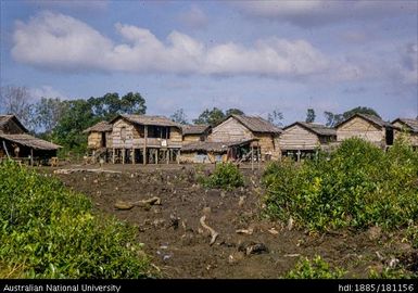 New Guinea - Daru, Western District