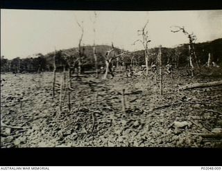 Port Moresby, New Guinea. 1943. Scarred and burnt out earth and trees, possibly the result of a fire in a United States bomb dump. A RAAF Bomb Disposal Unit helped to extinguish the blaze and to ..