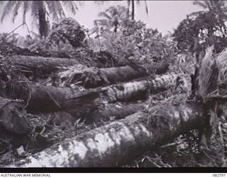 MADANG, NEW GUINEA. 1944-10. THE RESULT AND DAMAGE FROM A 75MM FIRED AGAINST NO. 2 BUNKER DURING PENETRATION TESTS CONDUCTED AT HQ 4 ARMOURED BRIGADE