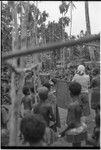 Mortuary ceremony, Omarakana: procession of mourning women holding fiber skirt valuables, anthropologist Annette Weiner (back to camera) observes