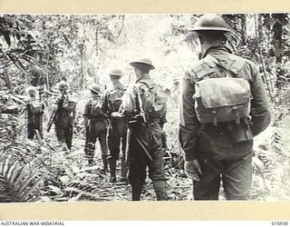1943-10-06. NEW GUINEA. ATTACK ON LAE. THIS PLATOON OF A FAMOUS AUSTRALIAN BATTALION TOOK PART IN THE VICTORIOUS ADVANCE ON LAE. THE PATROL FORCES ITS WAY ALONG THE JUNGLE TRACKS. (NEGATIVE BY ..