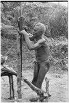 Man tying cordyline on stake where men will sing to accompany mao dancing