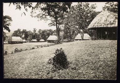 Samoan fale (houses), Avele College