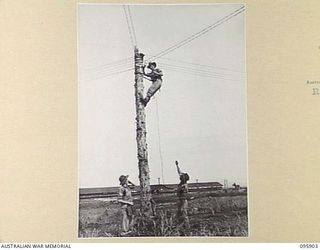 WEWAK POINT, NEW GUINEA. 1945-08-29. MEMBERS OF SIGNALS SECTION, 19 INFANTRY BRIGADE, REPAIRING A BREAKDOWN IN LINES. IDENTIFIED PERSONNEL ARE:- CORPORAL G.S. MCLEOD (1); SIGNALMAN I.F. TERREY (2); ..