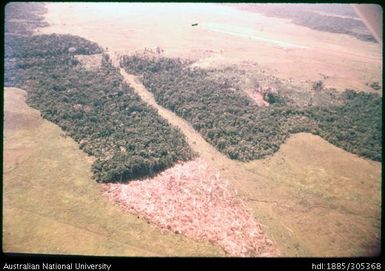 Timber felling Ruti Cattle Project