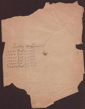 Manuscript notes on birds data, 1903-1904, incomplete