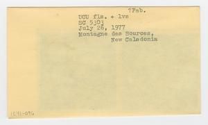 [Fabaceae in New Caledonia, envelope IE41-096]