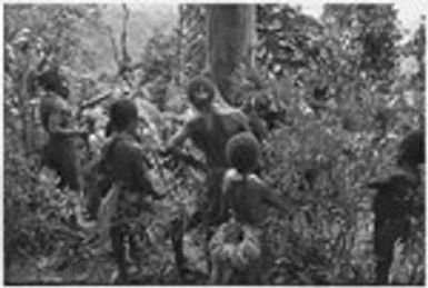 Pig festival, stake-planting, Tuguma: Tuguma man rubs fight packet on tree which to be felled at enemy boundary