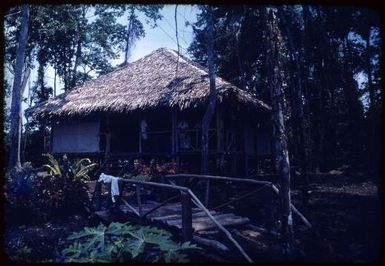 Doctors' residence at Saiho, Papua New Guinea, 1951 / Albert Speer