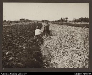 A. British Empire exhibition 1924 : Fiji Views