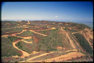 Roading damage to shrubland