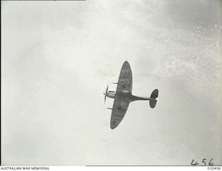 KIRIWINA, TROBRIAND ISLANDS, PAPUA. 1944-01-11. AIRBORNE, A SPITFIRE AIRCRAFT OF NO. 79 (SPITFIRE) SQUADRON RAAF SETS OFF AFTER A JAPANESE RECONNAISSANCE PLANE 30000 FT ABOVE