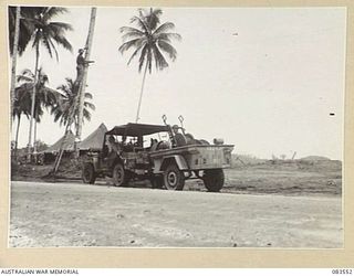 AITAPE AREA, NEW GUINEA. 1944-11-23. HQ 6 DIVISION SIGNALLERS LAYING LINES BY JEEP AND THE CONVENIENT USE OF COCONUT PALMS TO CARRY THE LINES