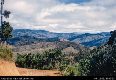 Okapa road - 1 mile to Orona (looking back to Okapa)