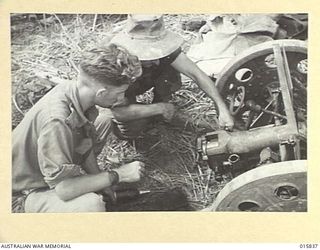 1943-09-28. NEW GUINEA. ADVANCE ON SALAMAUA. AUSTRALIANS EXAMINING THE BREECH OF A CAPTURED JAPANESE 70 MM MOUNTAIN GUN. DURING THE ADVANCE TOWARDS SALAMAUA THE GUN PROVED VERY TROUBLESOME TO THE ..