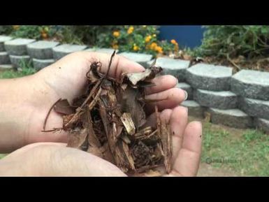 HIKI NŌ #823 - Kalama Intermediate - Recycling