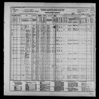 1940 Census Population Schedules - Hawaii - Honolulu County - ED 2-133