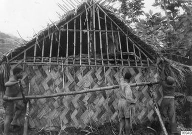 building, cage, reeds, building, photography, ph