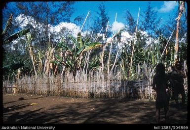 Banis' Garden