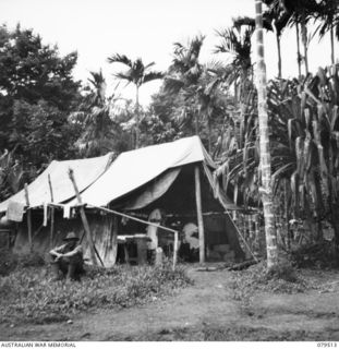 KAMKAMBUN, NEW GUINEA. 1943-10. THE DENTAL SURGERY AT THE LAE CASUALTY CLEARING STATION CONDUCTED BY THE 10TH FIELD AMBULANCE