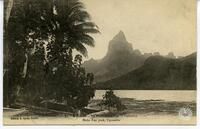 99. - Moorea. - Le Pic « Moùa Roa », OpunohuMoùa Roa peak, Opunohu