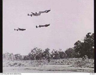 1943-04-13. NEW GUINEA. LOCKHEED LIGHTNINGS (P38) IN FLIGHT. (NEGATIVE BY N. BROWN)