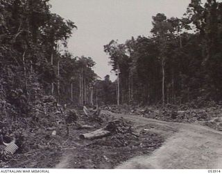 REINHOLD HIGHWAY, NEW GUINEA. 1943-07-08. STRETCH OF THE REINHOLD HIGHWAY NEAR BULLDOG BASE CONSTRUCTED BY HQ THE ROYAL AUSTRALIAN ENGINEERS, 11TH AUSTRALIAN DIVISION