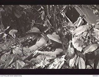 BUI EO CREEK, NEW GUINEA. 1943-08-07. VX58897 PRIVATE (PTE) A. T. CHATHAM (LEFT) AND N203868 PTE C. A. BOWEN OF THE PIONEER PLATOON, 2/5TH AUSTRALIAN INFANTRY BATTALION IN THEIR DUGOUT ON THE MUBO ..