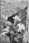 Pig festival, wig ritual: decorated men with ritual wigs, feather headdresses