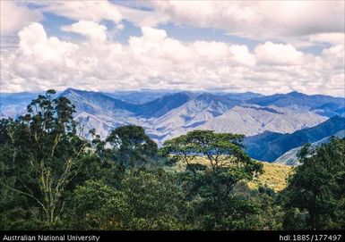 Lufa Road - 41 miles after Goroka (towards Yabi-Yufa country)