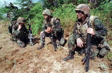 US Marine Corps First Lieutenant (1LT) Haytham Faraj (center) and Corporal Christopher Harrison keep watch on their surroundings as Lance Corporal (LCPL) William Whiteman relays radio communications, at the Pacific Missile Range Facility, "Barking Sands" Kauai, HI. Each Marine is armed with the 5.56mm M16A2 assault rifle and there is a US Marine Amphibious Assault Vehicle (AAV7A1) parked in a wooded area in the background. Marines from the 11th Marine Expeditionary Unit (MEU) Camp Pendleton, CA and involved Navy and Marine Air, Ground and Sea Forces trained as a combined amphibious assault force during Operation RIMPAC 96
